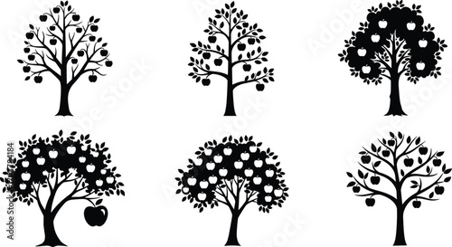 Silhouette apple tree, orchard fruit design, black vector illustration, botanical art, organic farming, healthy food, nature plant, seasonal harvest, agriculture, garden