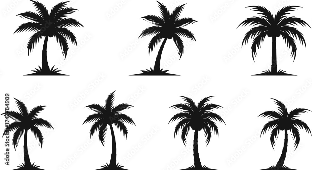 Fototapeta premium Silhouette palm tree, tropical beach design, black vector illustration, exotic nature, summer vacation, island art, botanical shape, travel, paradise, coastal