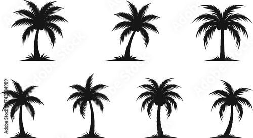 Silhouette palm tree, tropical beach design, black vector illustration, exotic nature, summer vacation, island art, botanical shape, travel, paradise, coastal