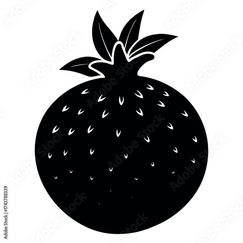 Mustard Seed Silhouette Vector On White Background 
