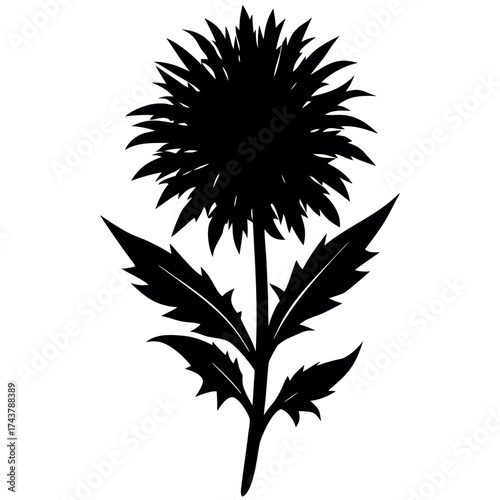Sugar Palm Silhouette Vector On White Background 