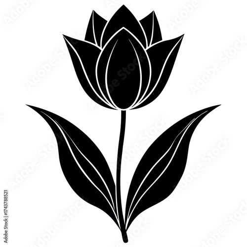 Walnut Silhouette Vector on White Background