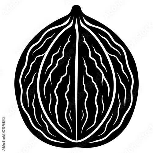 Walnut Silhouette Vector On White Background 