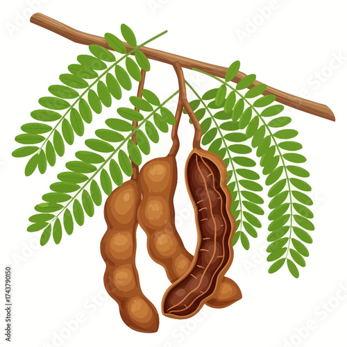 Open Holy Book on Rehal Stand | Quran Reading Symbol | Islamic Religious Vector Icon