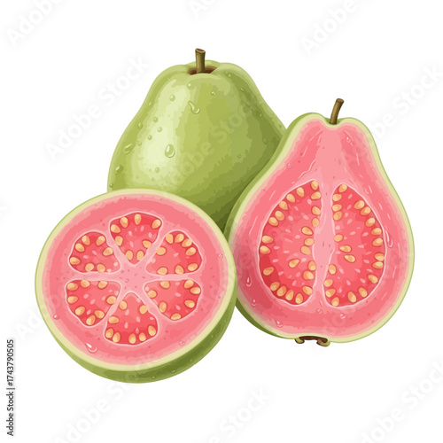 Open Holy Book on Rehal Stand | Quran Reading Symbol | Islamic Religious Vector Icon