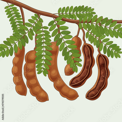 Open Holy Book on Rehal Stand | Quran Reading Symbol | Islamic Religious Vector Icon