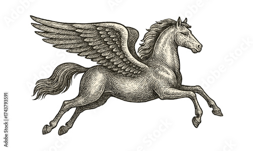 Detailed engraving style pegasus with wings and flowing mane