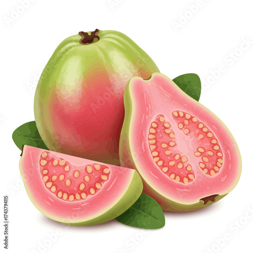 Open Holy Book on Rehal Stand | Quran Reading Symbol | Islamic Religious Vector Icon