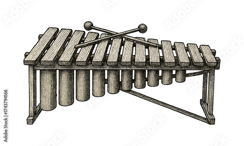 Detailed hand drawn xylophone with mallets: vintage musical instrument art