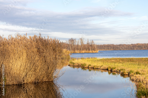 Close-up waterscape.