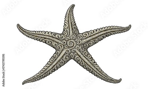 Intricate starfish motif with decorative swirls and patterns in detailed design