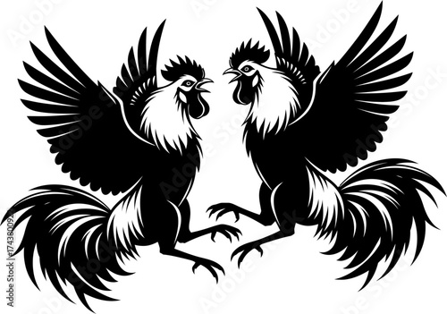 Two fighting rooster vector illustration with black wings and tail. Concept of quarrel, conflict, competition, struggle, animal, bird