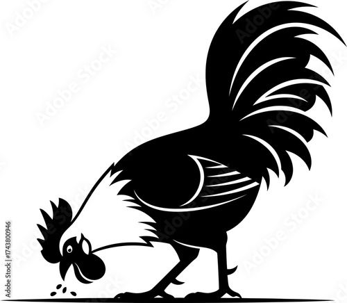 Black and white rooster pecking ground. Farm bird looking for food. Graphic vector illustration of fowl for brand, logo, icon, symbol
