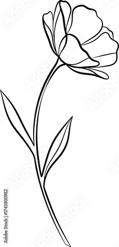 Delicate flower line art vector illustration, elegant continuous outline drawing for wedding invitation, greeting card, botanic decor