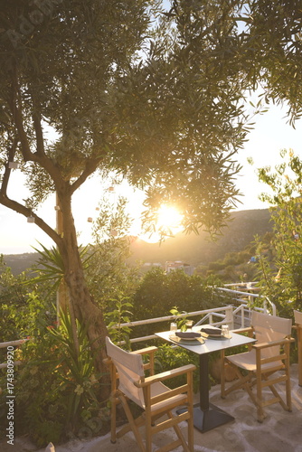 Restaurant Golden Hour Tree