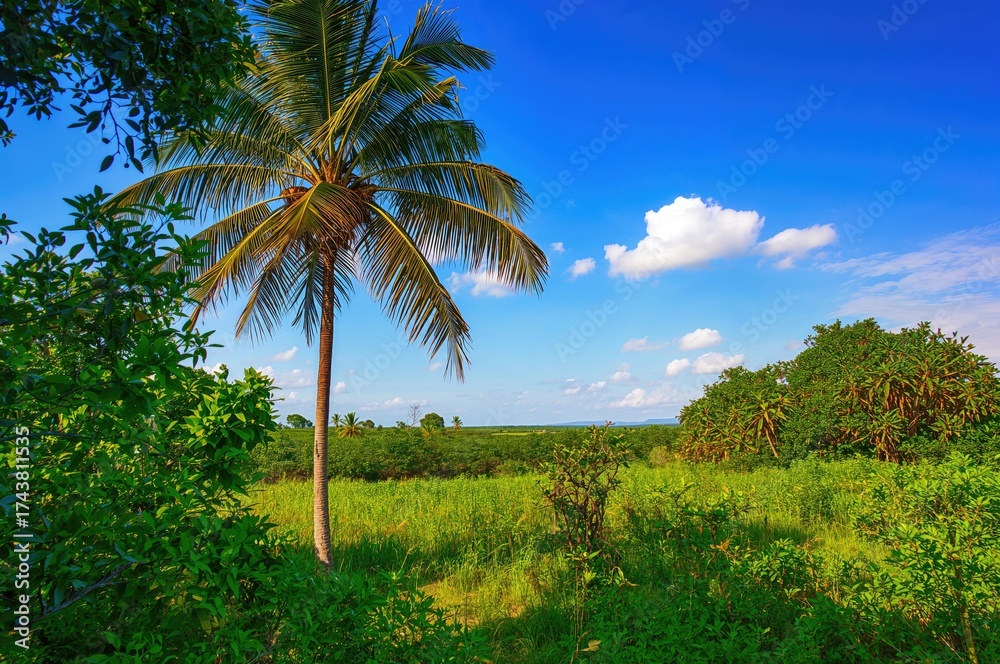 Naklejka premium Tropical tree during holiday