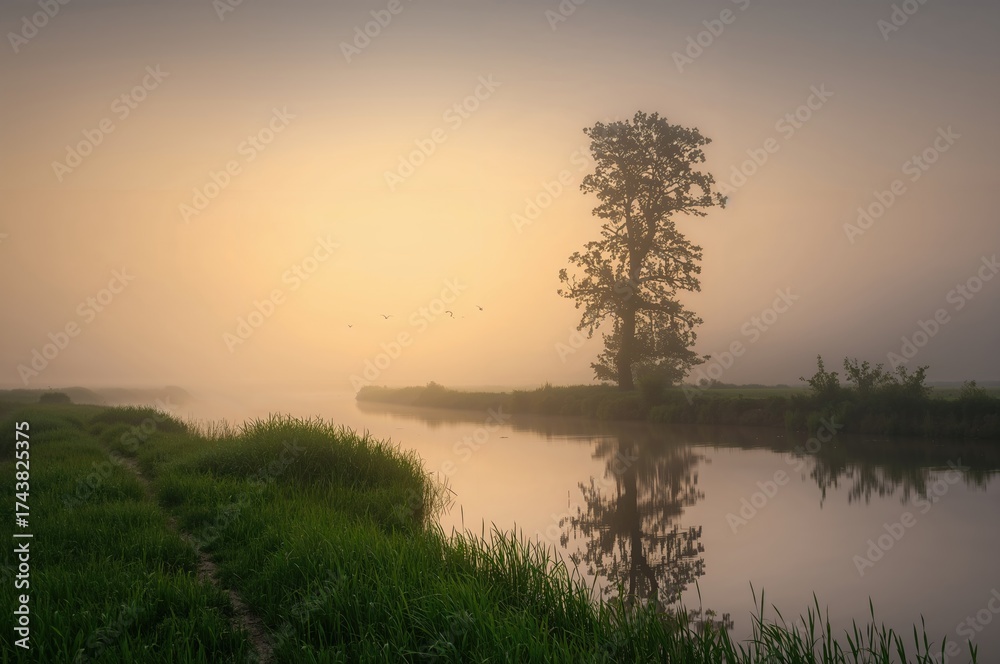 Fototapeta premium Early fog drifting over the water
