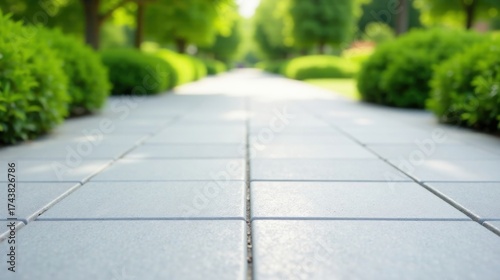 Serene Pathway Through Lush Greenery A Tranquil Scene of a Light Grey Pavement Lined with Vibrant Green Bushes, Leading Towards a Sunlit Vista