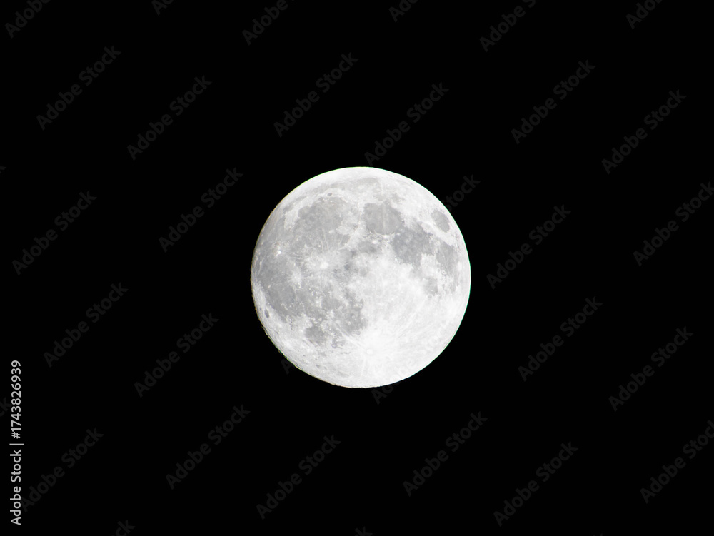 Fototapeta premium full moon