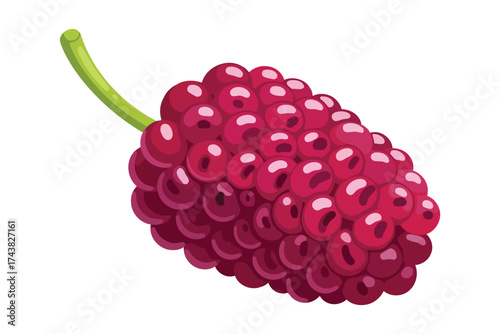 Illustration of a juicy mulberry, a sweet and healthy fruit with a unique flavor