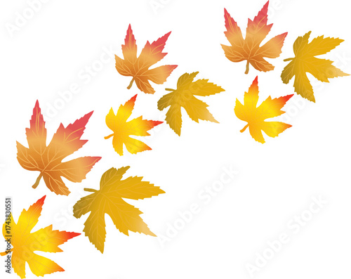 Falling autumn maple leaves isolated on transparent background. Fall season banner vector template.