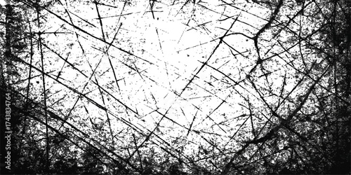 Black silhouettes of bare tree branches against a white winter sky over a chain-link fence with barbed wire
