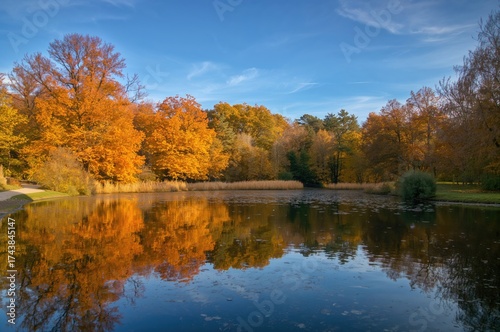 Arboretum of Tree Collections