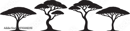 african acacia tree silhouette vector set  art graphic design element illustration