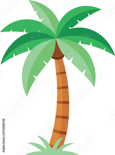 Coconut tree
