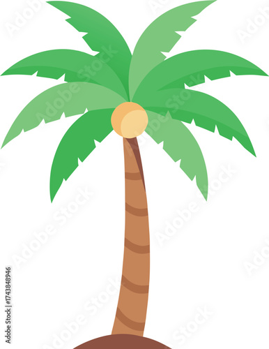 Coconut tree