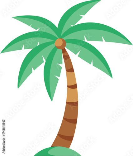 Coconut tree