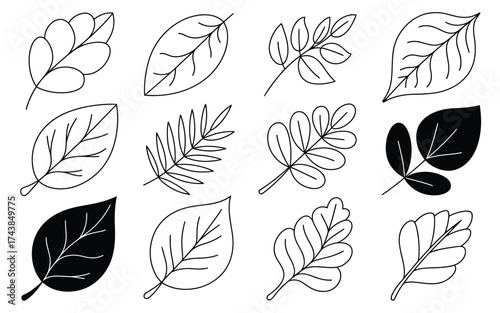 Diverse hand-drawn leaf collection vector illustration scalable eps icon for nature and botanical designs silhouette vector illustration white background
