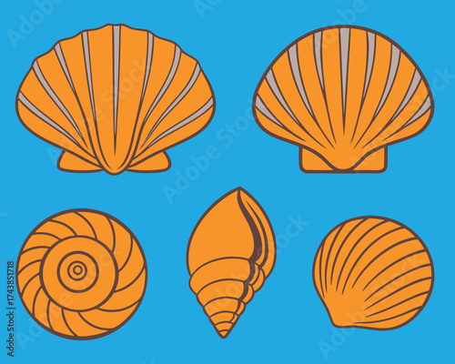 Collection of various orange seashells and conches with detailed brown outlines against a vibrant blue ocean background, ideal for marine themes.