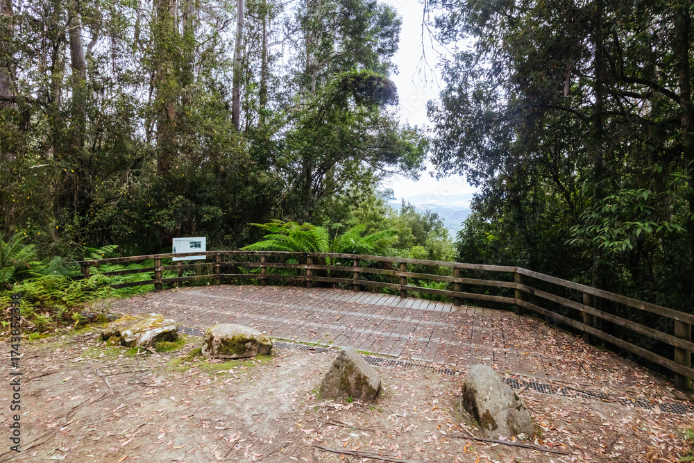 Obraz premium Lake Dobson Area in Tasmania Australia
