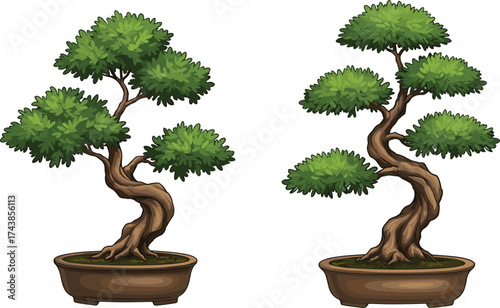 bonsai tree, twisted trunk, green foliage, miniature plant, Japanese art, stylized tree, decorative pot, vector illustration, zen garden, nature design, peaceful decor, horticulture concept