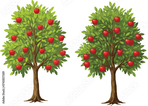 Cartoon apple trees illustration, red fruit foliage, green leaves vector, orchard design, nature comparison, educational tree art, seasonal harvest concept, stock graphic asset