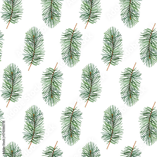 Seamless ornament of pine branches Christmas winter cold isolated illustration on the background