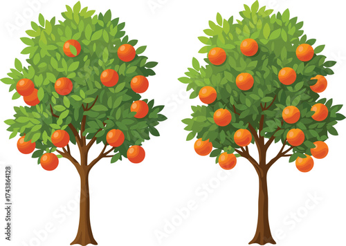 Orange, tree, fruit, foliage, branches, ripe, cartoon, illustration, comparison, nature, agriculture, growth, vibrant, green, educational, design, orchard, harvest, quantity, counting, visual,