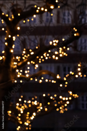 weihnachtsbeleuchtung im straßenbaum
