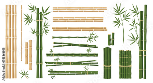 A diverse collection of natural bamboo elements for design and decoration.
