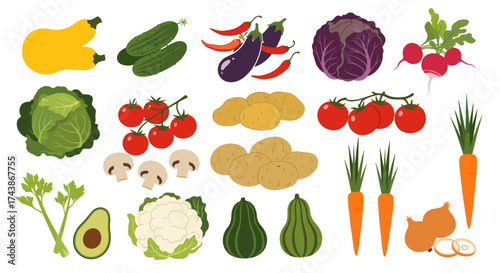 A vibrant collection of fresh and healthy vegetables arranged in a visually appealing pattern for culinary inspiration.