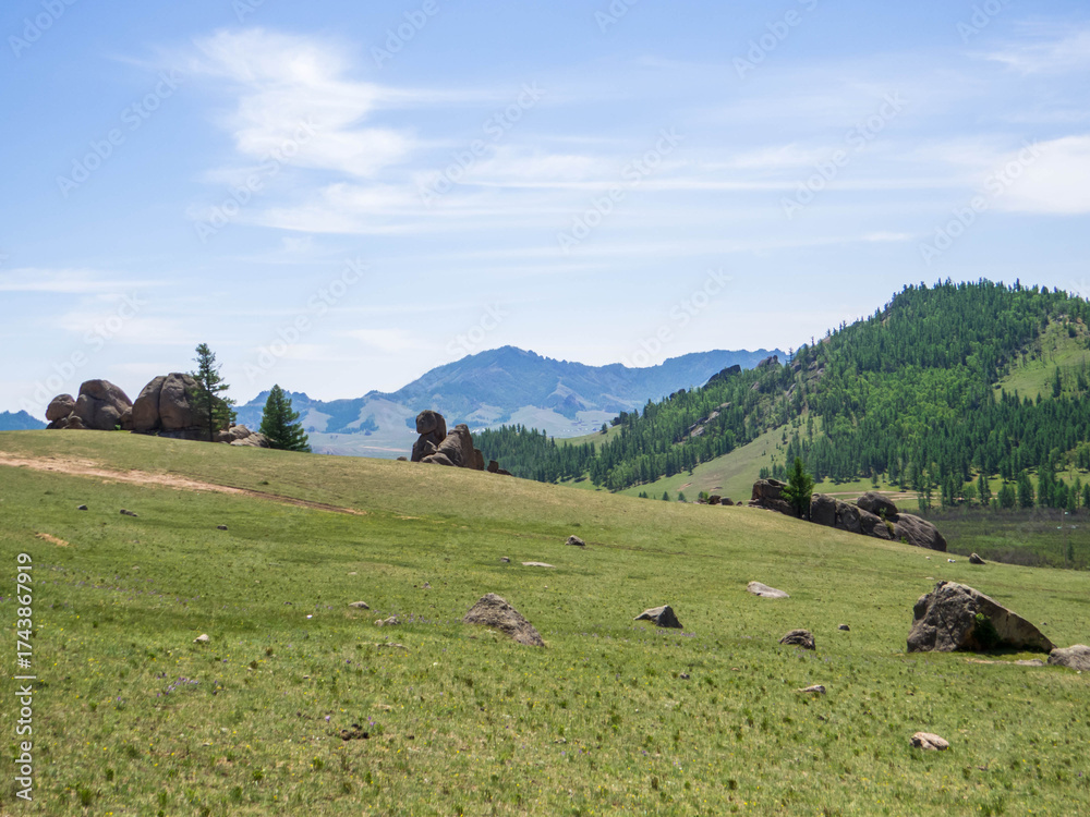 Fototapeta premium Gorkhi Terelj National Park, Mongolia