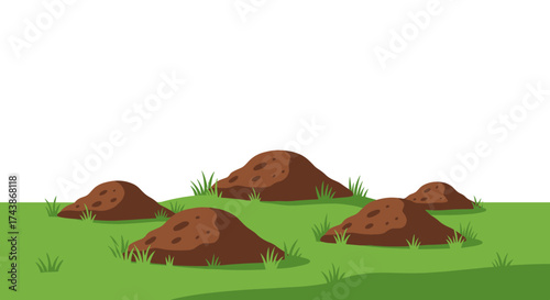 A grassy field with several molehills and patches of green grass.