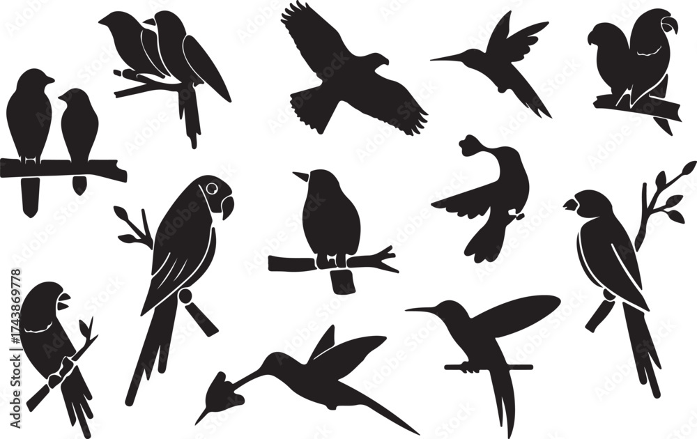 Obraz premium Collection of black bird silhouettes on white background
