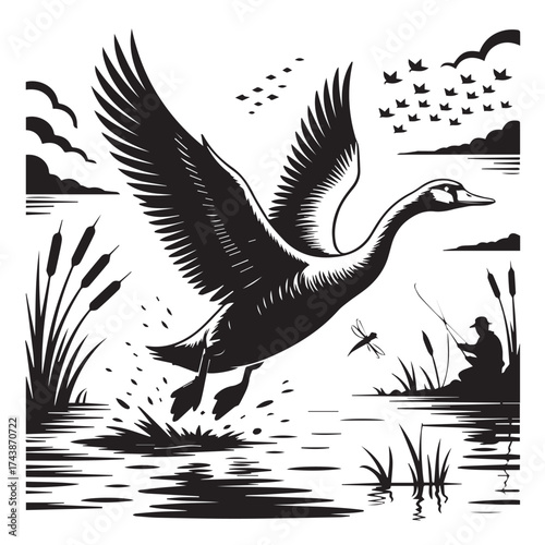 Silhouette of a majestic goose in flight above a marshy lake at dawn with a distant duck hunter in a boat