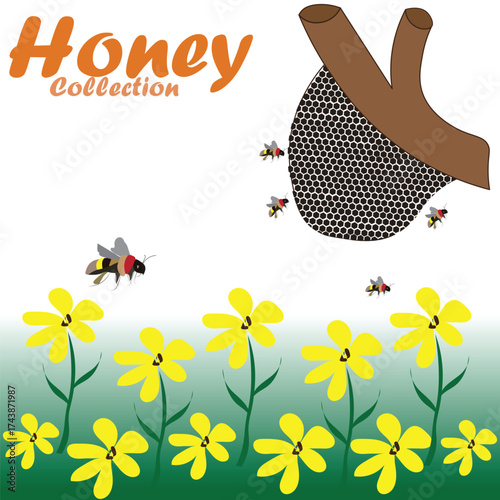 flower bee's and honeycomb illustration.