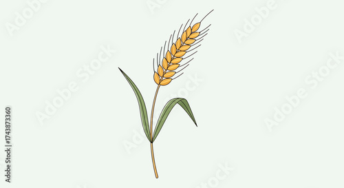 Illustration of a single stalk of golden wheat with green leaves, isolated.