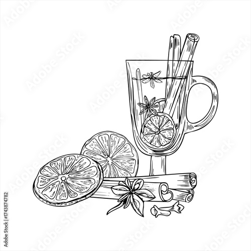 Hot Christmas mulled wine in glass cup with orange slices, cinnamon sticks, star anise and clove spices vector isolated illustration. Hand drawn monochrome winter drink painted by black inks.