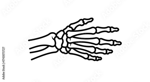 A detailed black and white illustration of a human hand skeleton, showing bones.