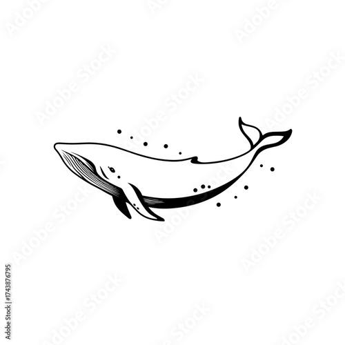Gray Whale. Gray Whale simple black and white line art vector logo